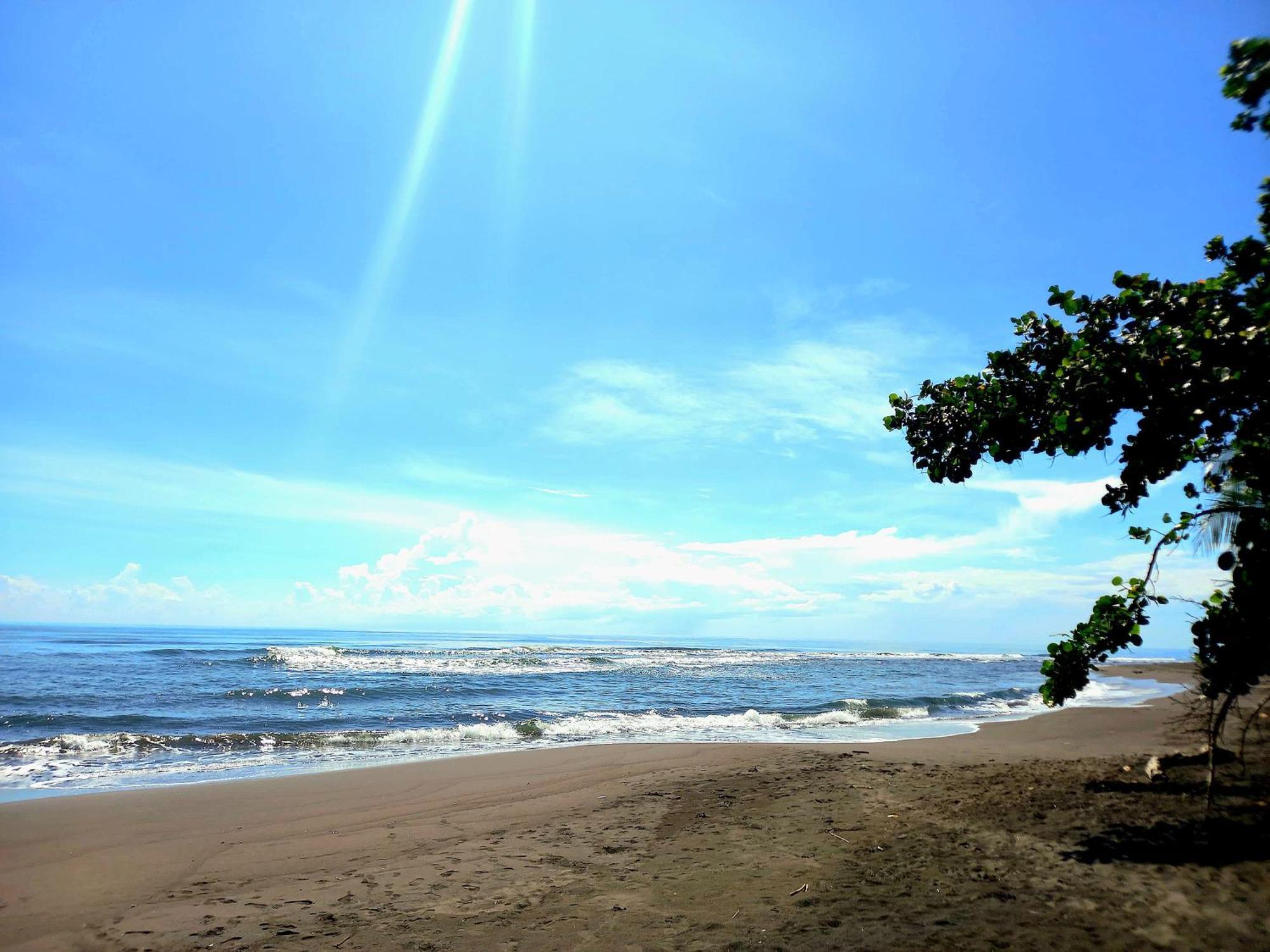 Tortuguero Adventures Beach House Eksteriør bilde