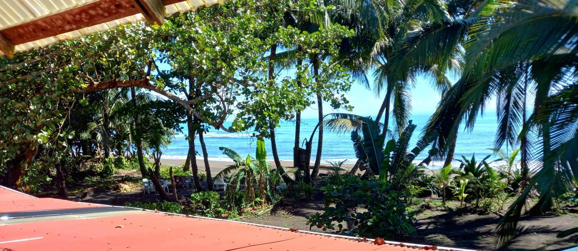 Tortuguero Adventures Beach House Eksteriør bilde