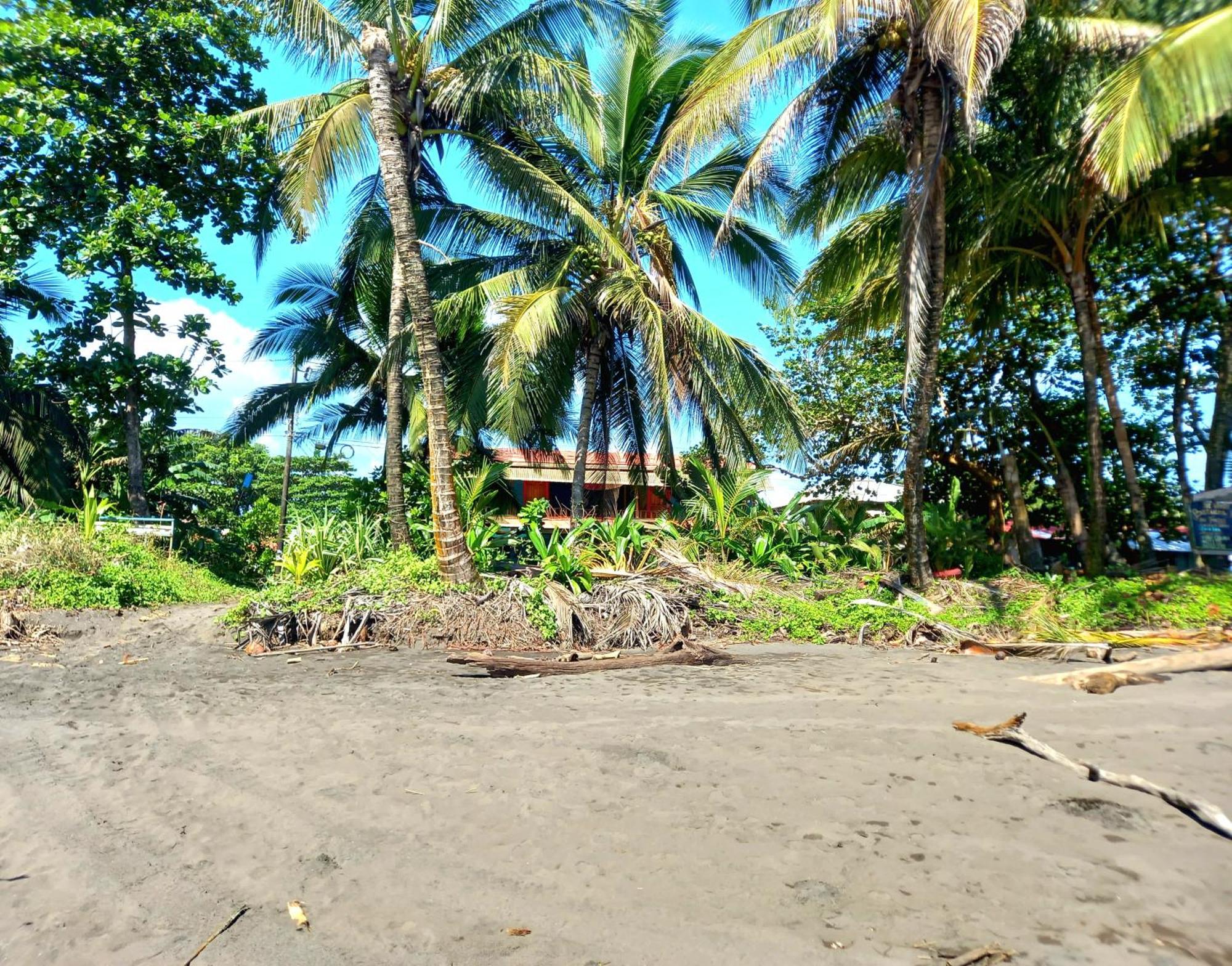 Tortuguero Adventures Beach House Eksteriør bilde