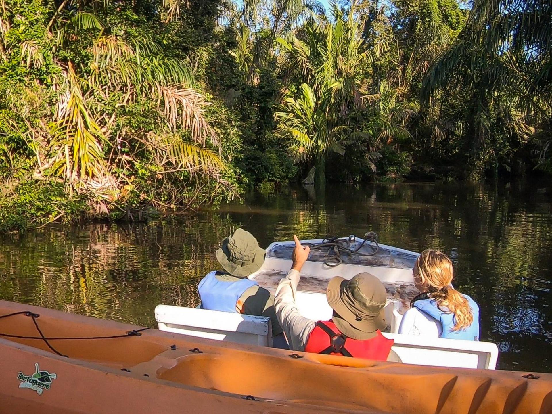 Tortuguero Adventures Beach House Eksteriør bilde
