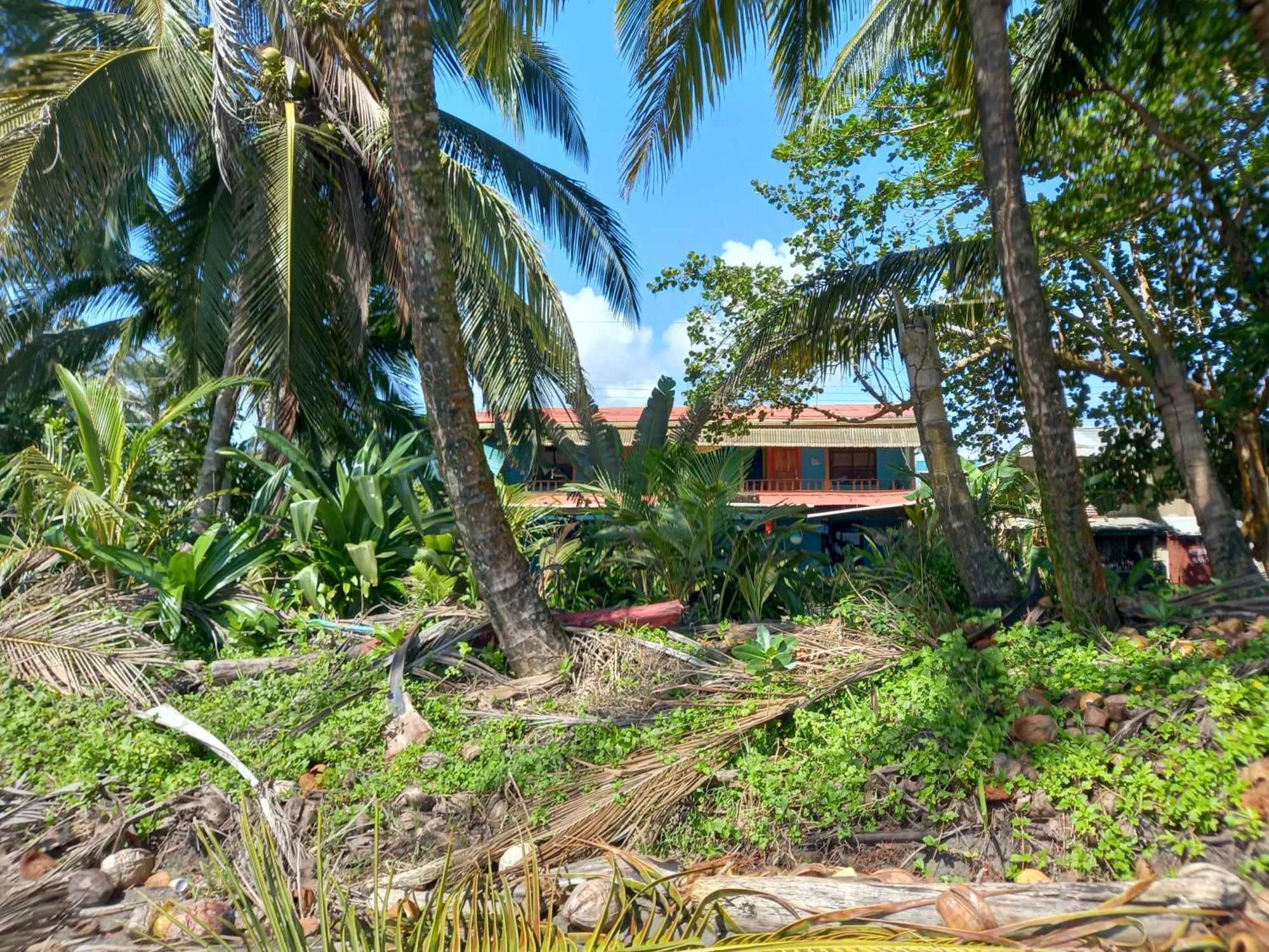 Tortuguero Adventures Beach House Eksteriør bilde