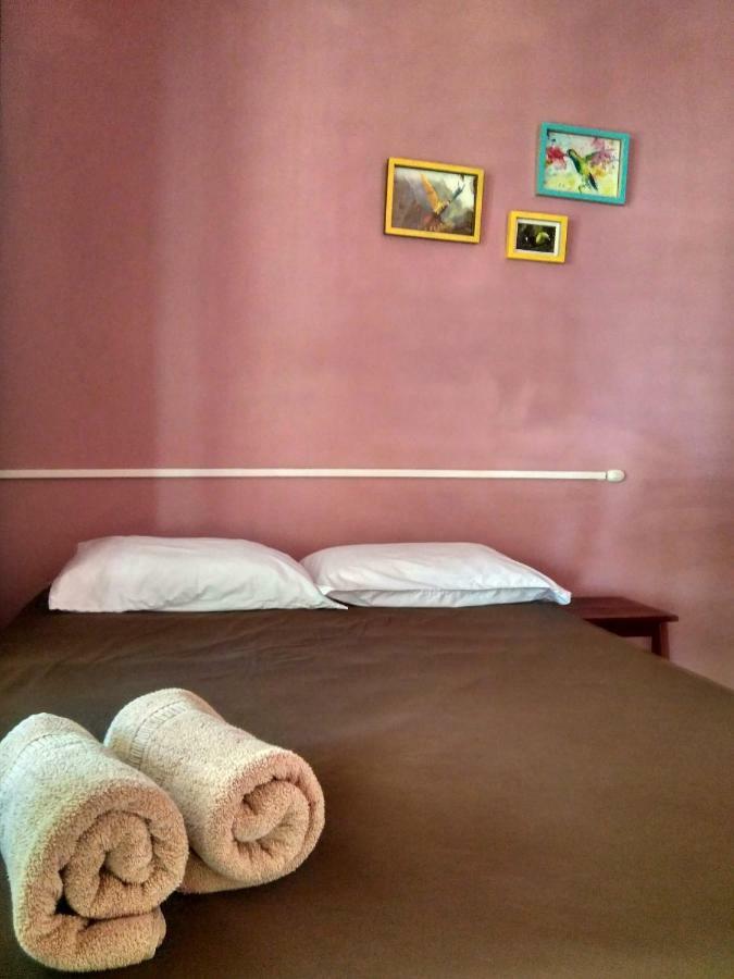 Tortuguero Adventures Beach House Eksteriør bilde