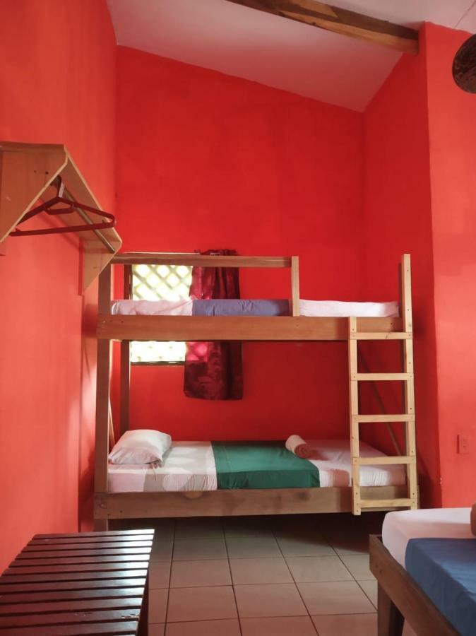 Tortuguero Adventures Beach House Eksteriør bilde