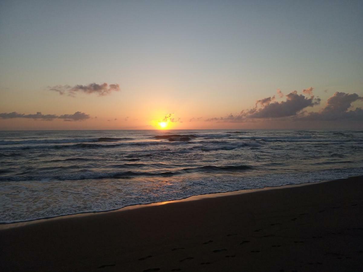 Tortuguero Adventures Beach House Eksteriør bilde