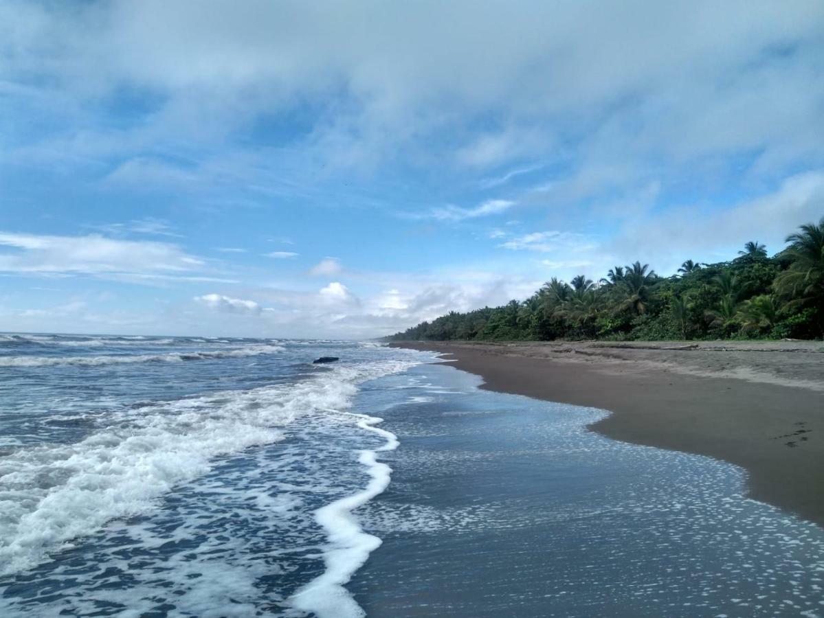 Tortuguero Adventures Beach House Eksteriør bilde