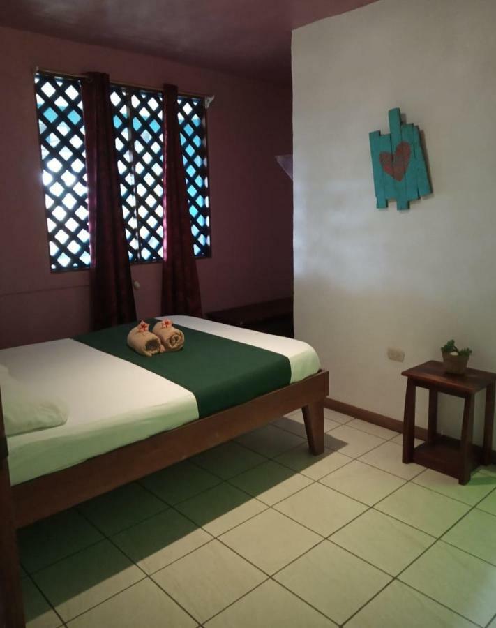 Tortuguero Adventures Beach House Eksteriør bilde