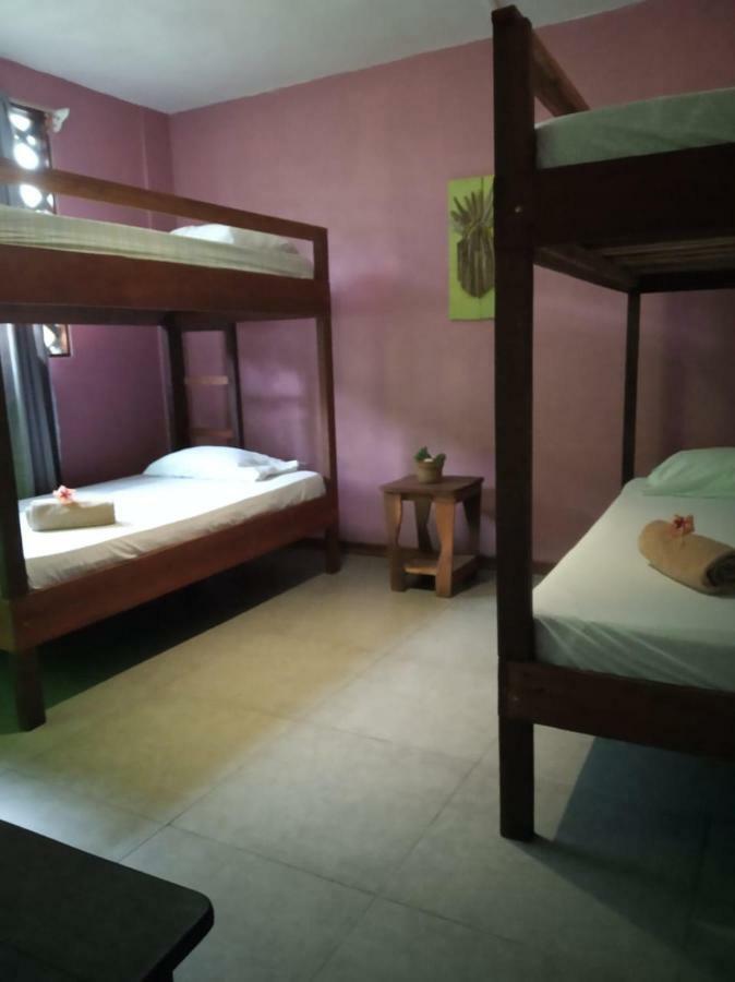 Tortuguero Adventures Beach House Eksteriør bilde